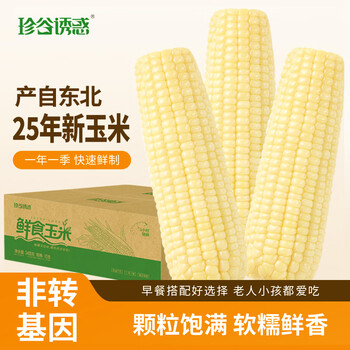 珍谷诱惑25年东北糯玉米新玉米黄糯玉米棒早餐玉米粗粮代餐零食 白糯玉米12支【单支180g以上】