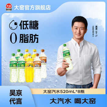 大窑 汽水吴京代言嘉宾果味橙味碳酸饮料520mL