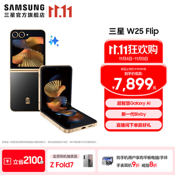 三星（SAMSUNG）心系天下 W25 Flip 超智慧Galaxy AI 新一代Bixby 匠心陶瓷 大视野智能外屏 5000万像素折叠屏手机 陶瓷黑 12GB+512GB 官方标配