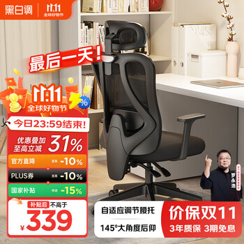 国家补贴、以旧换新：黑白调 P1人体工学椅电脑椅子人工力学座椅久坐办公椅电竞椅学习椅自营 P1单背