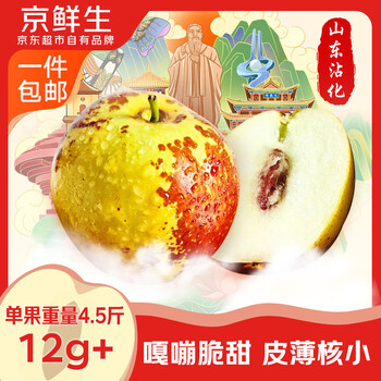 京鲜生  山东沾化冬枣 净重4.5斤 单果12g+ 新鲜水果 源头直发