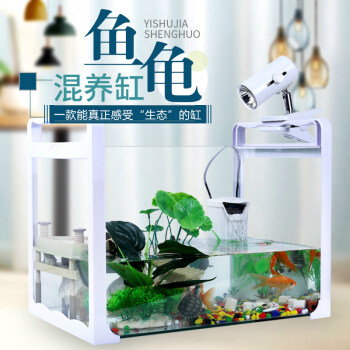 独家预测:价格走势逆势上扬十年,赶快抓住机会!
