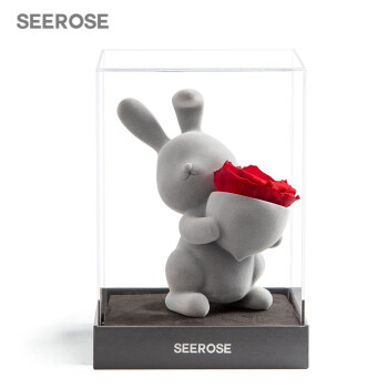 SEEROSE永生花-历史价格,产品评论,购买推荐