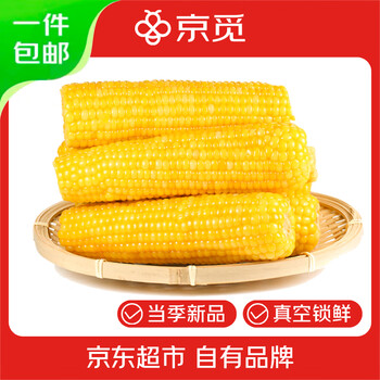 京觅 东北黄糯玉米 260g*8棒