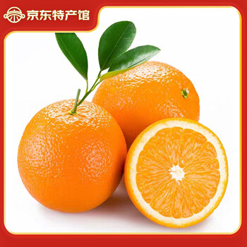 静益乐源 江西赣南脐橙 净重4.5-5斤中果果径70-80mm