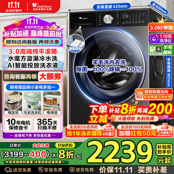 小天鹅 小乌梅2.0 TG10SC08PRO 滚筒洗衣机 10kg