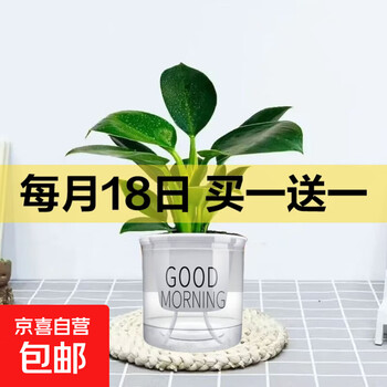2025年9月18日更新【万能白菜价】的图片 第17张