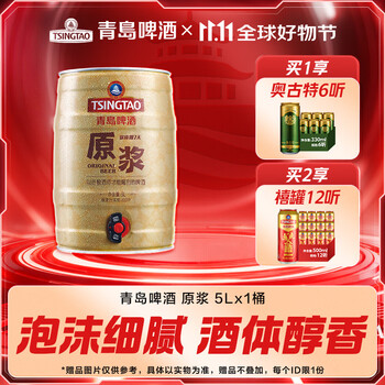 TSINGTAO 青岛啤酒 原浆啤酒 5L