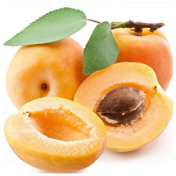 山西特产 金太阳大黄杏 新鲜黄杏子 口感酸甜现摘现发 孕妇水果 1000g