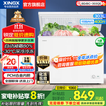 星星 XINGX BD/BC-300KE 冰柜 303L