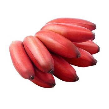红美人香蕉新鲜水果香甜软糯福建红皮香蕉红皮蕉装整箱 抖音3斤装【约