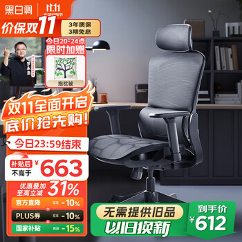 黑白调P2 Pro+人体工学电脑椅办公人工力学座椅学习久电竞椅子 P2 Pro+【6向魔术扶手】曜黑