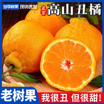 骑猴赶马 四川高山丑橘 5斤