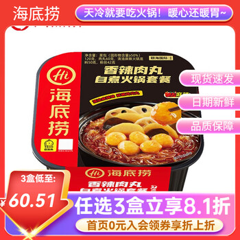 海底捞自热火锅方便速食加班懒人食品自煮学生宿舍夜宵大分量【任选】b 香辣肉丸272g*1盒