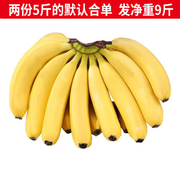 静益乐源云南大香蕉 新鲜香蕉水果 5斤