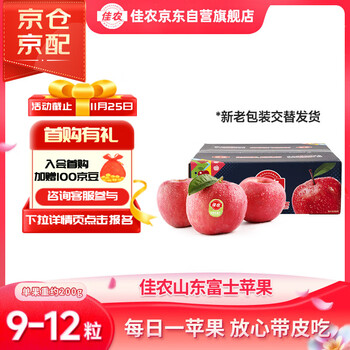 佳农 红富士苹果 12个 单果重180-240g
