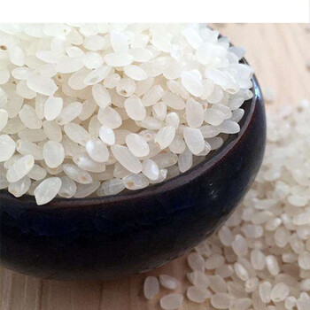 虎钢馋东北大米批发正宗黑龙江松花江原产地珍珠米圆粒米新米东北寒地