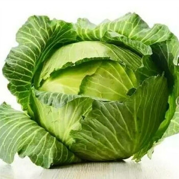 陕西农家自产新鲜包菜甘兰新西兰莲花白菜应季蔬菜 带箱5斤 精选圆