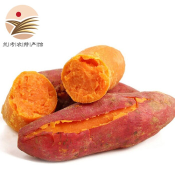 兰禾湾开封红薯 沙地红心蜜薯 番薯 新鲜地瓜 山芋2.5kg 皮薄无丝 软糯
