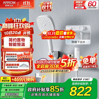 20点开始：箭牌 ARROW AE3252MZCP 简易手持花洒套装 哑光白 恒温款