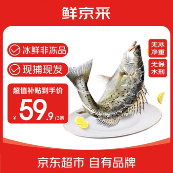 移动端、鲜京采 白蕉海鲈鱼 净重500-550g*3条