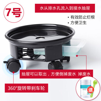 独特设计,价格下滑!高端款智能手表预售中