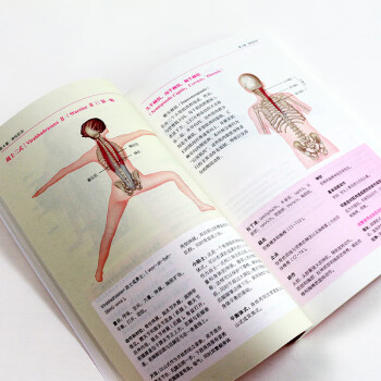瑜伽功能解剖学 基于肌肉结构与功能的精准瑜伽体式图解