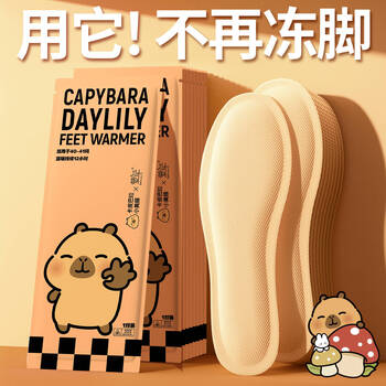 萱草 自发热鞋垫卡皮巴拉联名暖脚发热自加热暖足贴暖脚 萱草鞋垫卡皮巴拉(38-39)袋装 10双装（2包）