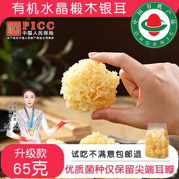 南北干货有机椴木小银耳非特级野生糯耳羹出胶雪耳古田白木耳丑耳 净重65克(约15朵）