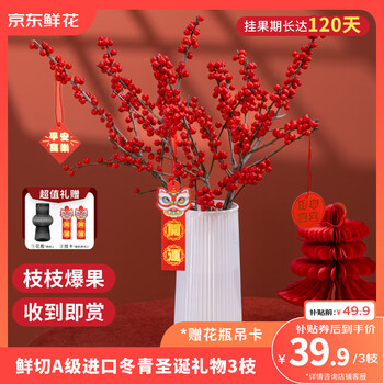 2025年12月15日更新【万能白菜价】的图片 第27张