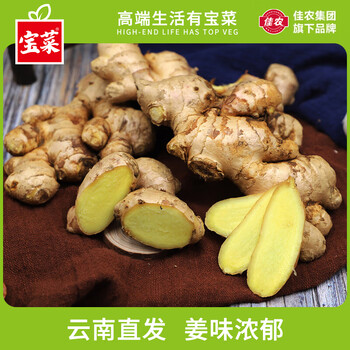 2026年4月10日更新【万能白菜价】的图片 第79张