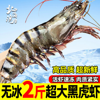 北海湾 高品质活冻黑虎虾 超大虾类大虾生鲜老虎虾冰鲜印度海虾盒装送礼 21-23cm【高品质】 1000g(净重)