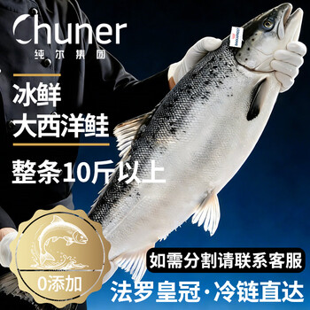 纯尔冰鲜三文鱼 法罗皇冠整条净重10斤以上 大西洋鲑 无抗源头直发