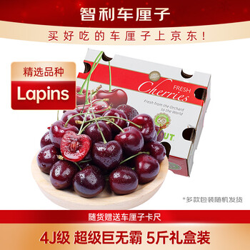 京鲜生 智利Lapins车厘子4J级5斤礼盒装 果径约32-34mm 水果年货礼盒
