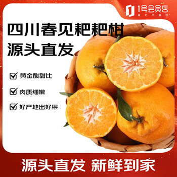 趣尝鲜 四川春见耙耙柑 净重4.5斤 果经70mm 新鲜柑橘 源头直发包邮