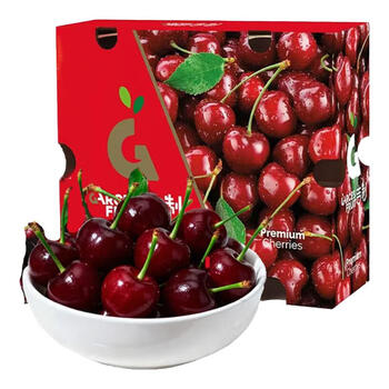源客行现货进口智利车厘子 新鲜水果大樱桃 时令生鲜 年货送礼 5斤(净重) 巨无霸 精选3JJJ级 单果30-32mm