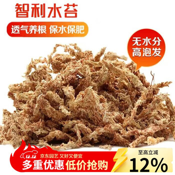 生长魔励 家用园艺智利进口水苔蝴蝶兰专用营养土石斛专用基质多肉干苔藓 2L