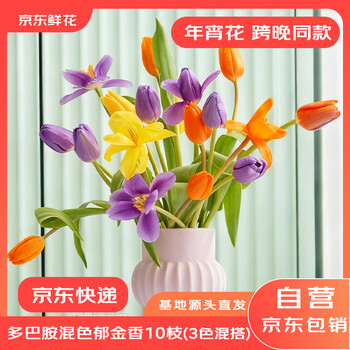 京东鲜花跨晚同款-郁金香鲜花10枝多巴胺混色（三种颜色混搭）源头直发