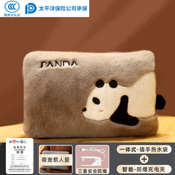 国标热水袋充电热水袋充电式暖宝宝防爆电暖手宝暖水袋毛绒可爱暖 【双插手】熊猫--智能防爆-真国标 已注水