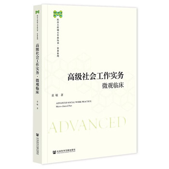 高级社会工作实务·微观临床(童敏著)