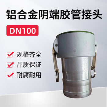 蓝宇星琳 3611铝合金阴端胶管接头DN100 1个