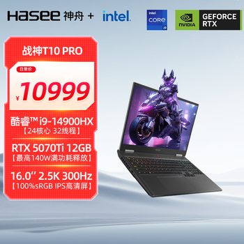 神舟（HASEE）【国家补贴 RTX5070Ti】战神T10 Pro 16英寸游戏本笔记本电脑(i9-14900HX 32G 1TB 2.5K 300Hz)