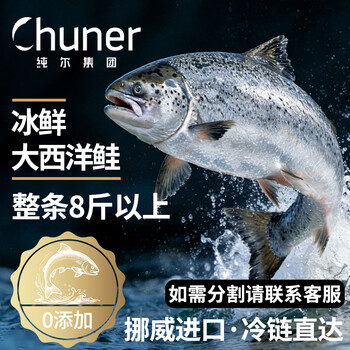 纯尔挪威冰鲜三文鱼整条 净重8斤以上 生食刺身 源头直发包邮