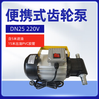军华 便携式齿轮泵（含5米进油，15米出油PVC胶管）220V DN25 1台