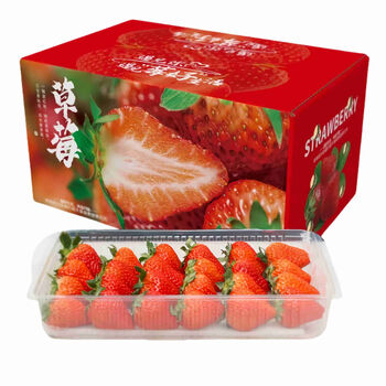 酷果汇大凉山新鲜草莓奶油牛奶红颜99草莓 需拍2份合发一箱  包装随机发 新鲜 净重1.5斤 单果25-40克 严选草莓