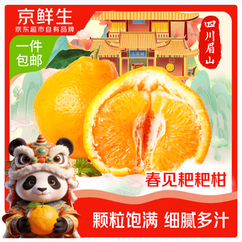 京鲜生 四川春见耙耙柑 净重8-8.5斤 单果70mm+ 生鲜水果 源头直发包邮