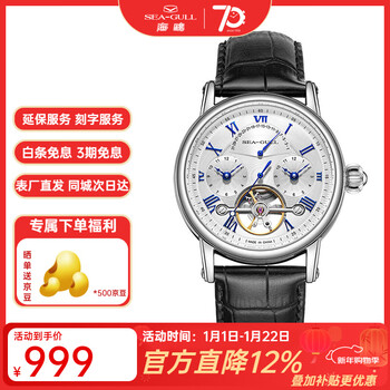 海鸥手表男士机械表镂空多功能自动上链国表腕表160 819.11.6195-日历双时区