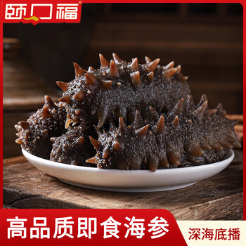 颐口福海参小米粥 新鲜整只大连海参金汤小米粥夜宵年货海鲜礼盒送礼 即食海参1斤 20-25头