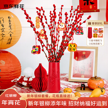 京东鲜花元旦新年年宵银柳20枝送花瓶挂饰节庆仿真花摆件新居装饰源头直发