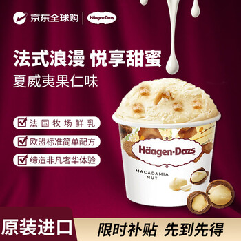 哈根达斯冰淇淋 夏威夷果仁味冰激凌100ml/杯 小杯装雪糕